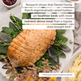 Load image into Gallery viewer, Pasture-Raised Herb Crusted Turkey Breast
